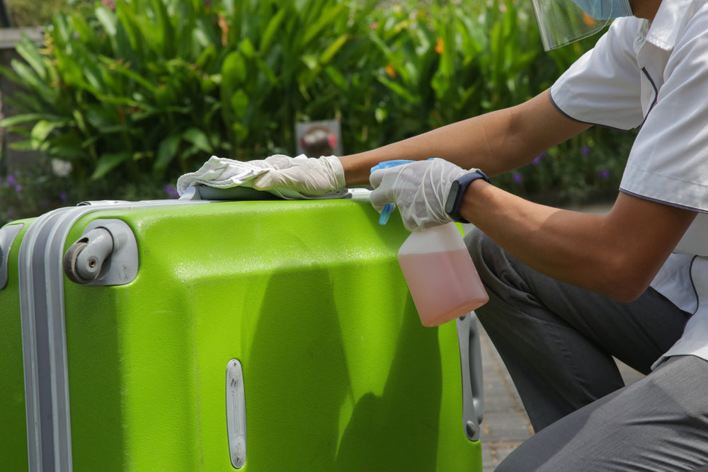 LUGGAGE BAGS CLEANING